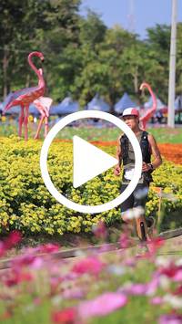 BIB:  <button type="button" onclick="openModal(27588418)" class="btn btn-primary btn-sm float-right" data-toggle="modal" data-target=".modal-high-quality">
                <i class="fa fa-download"></i> Download
                </button>